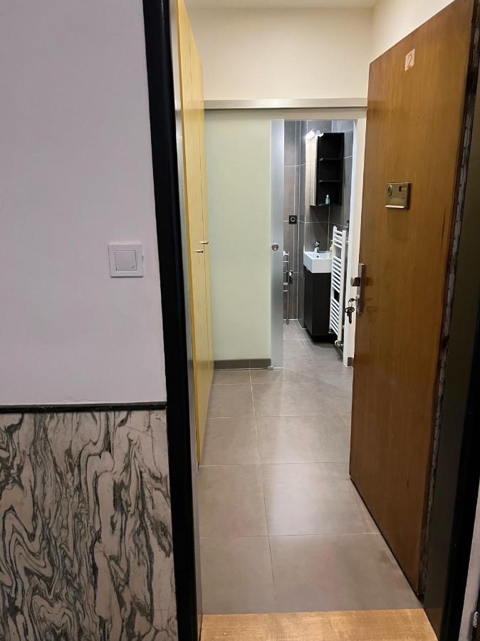 Studio Apartment In Center Brno Zewnętrze zdjęcie